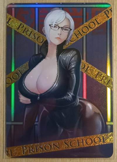 龙虎卡牌-八二场（满200元包邮，无佣金，每周六结拍，欢迎送拍） - 彩闪 监狱学园卡牌 麻辣教师