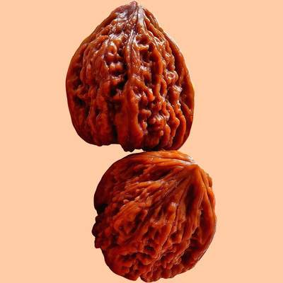 文玩核桃 - 文玩核桃