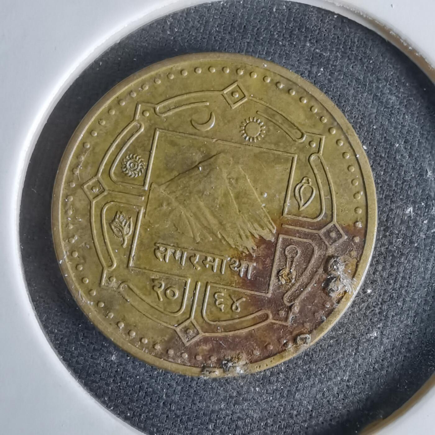 沼泽如烟--第1047场