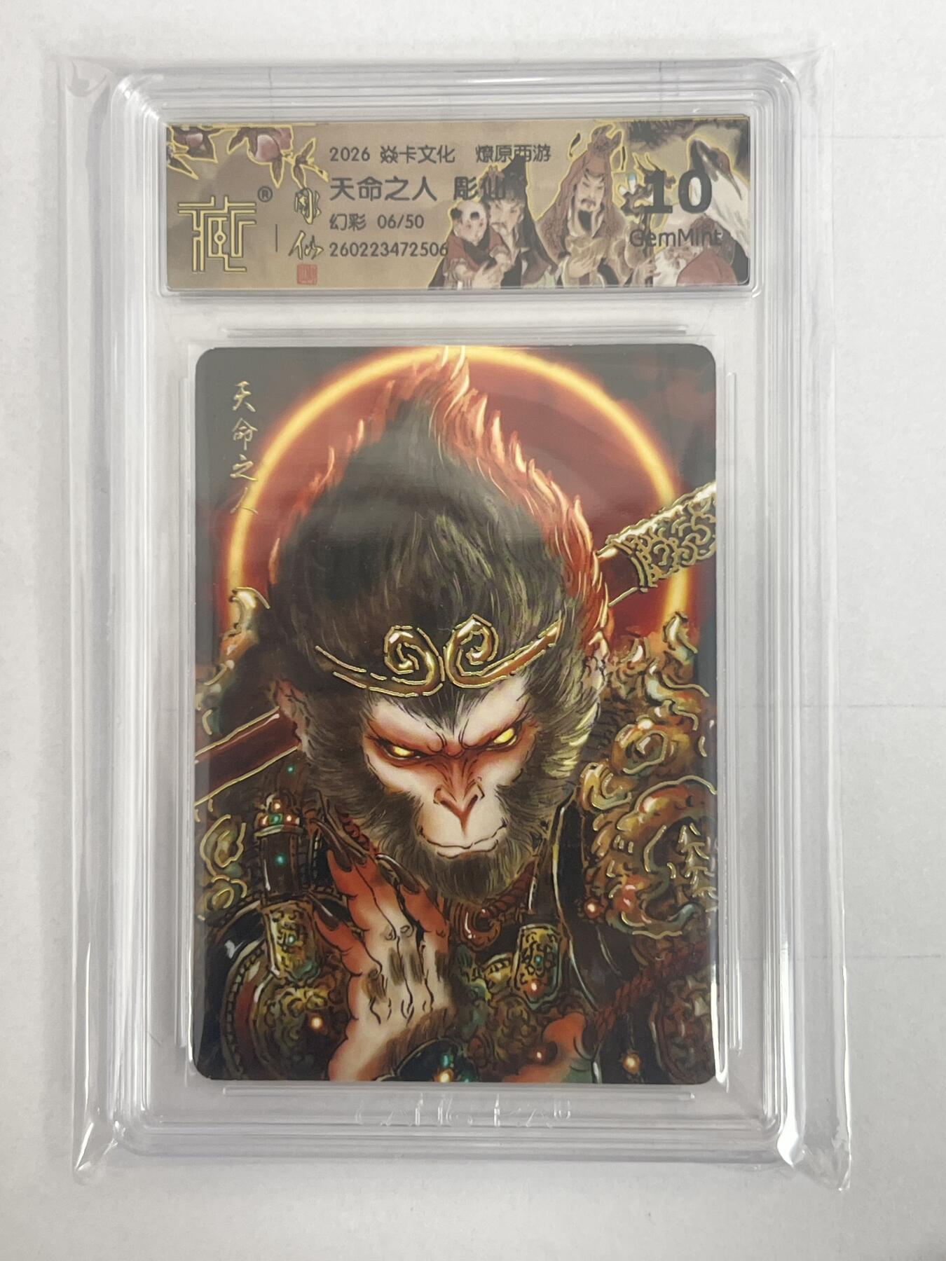 大麦马年第二场