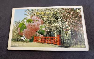 日日生财—方圆世界（全场包邮）第三场 - 日本1988年 特年 发行的樱花主题纪念币套装 
