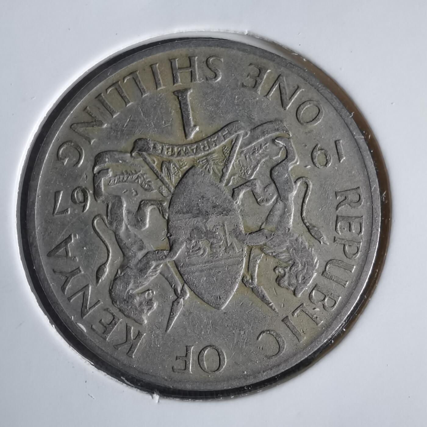 沼泽如烟--第1047场