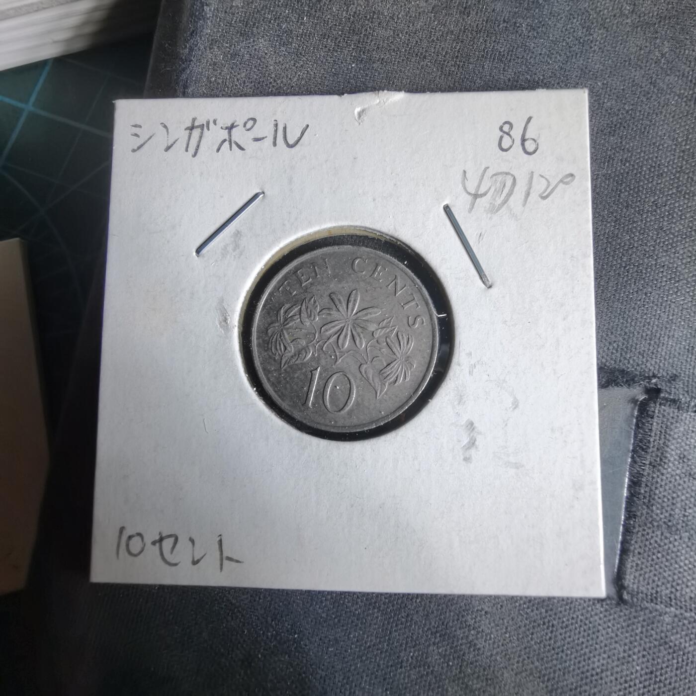 沼泽如烟--第1047场