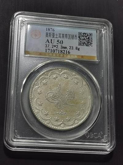 天下钱庄专场欢迎参拍 - 奥斯曼帝国土耳其20库鲁什银币