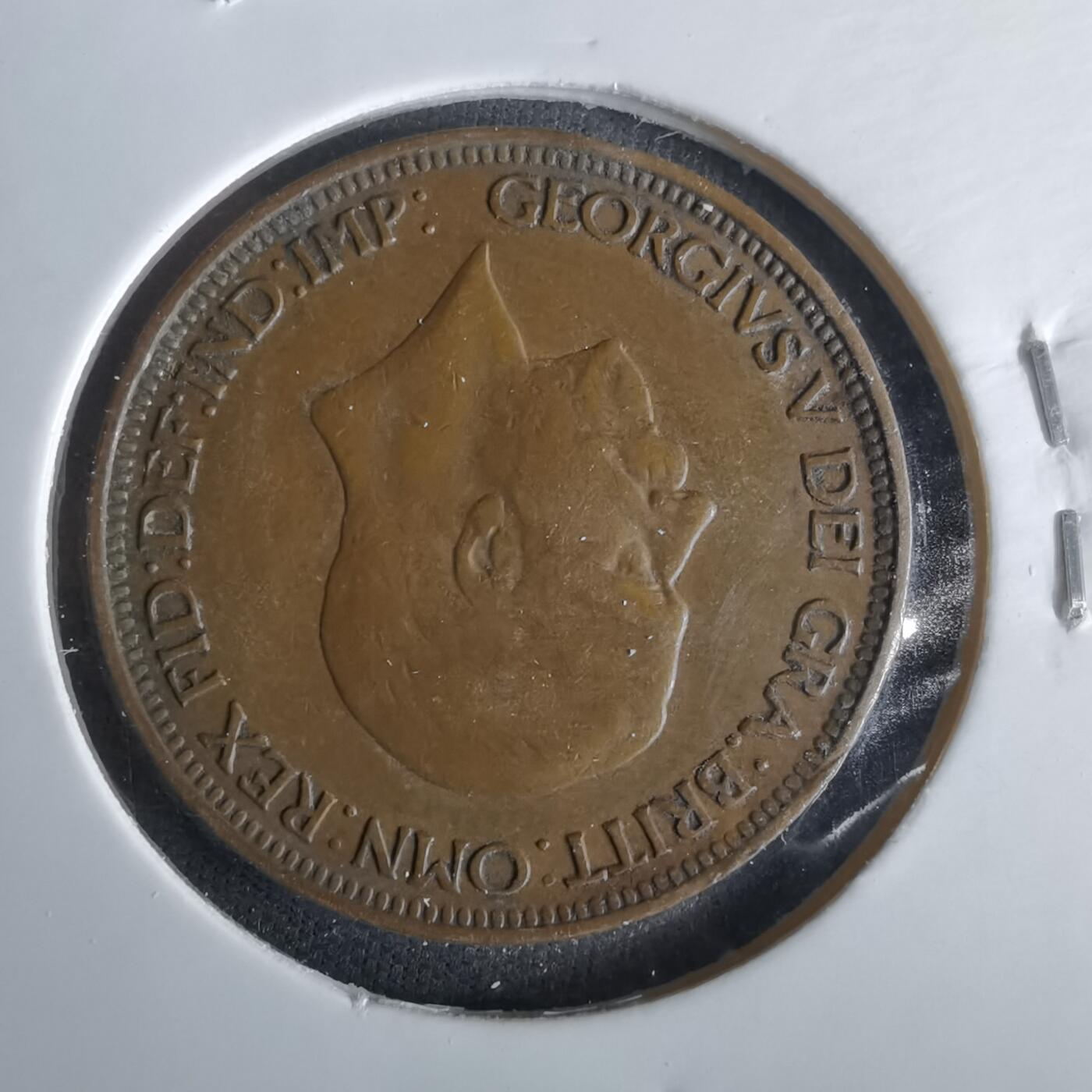 沼泽如烟--第1047场