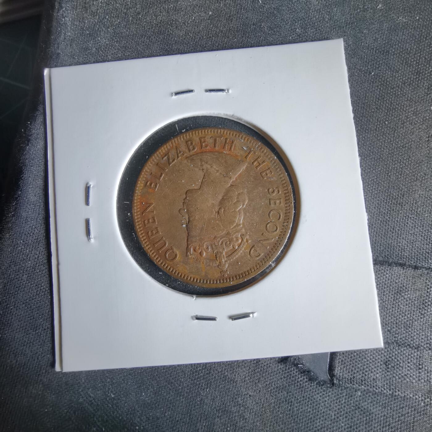 沼泽如烟--第1047场