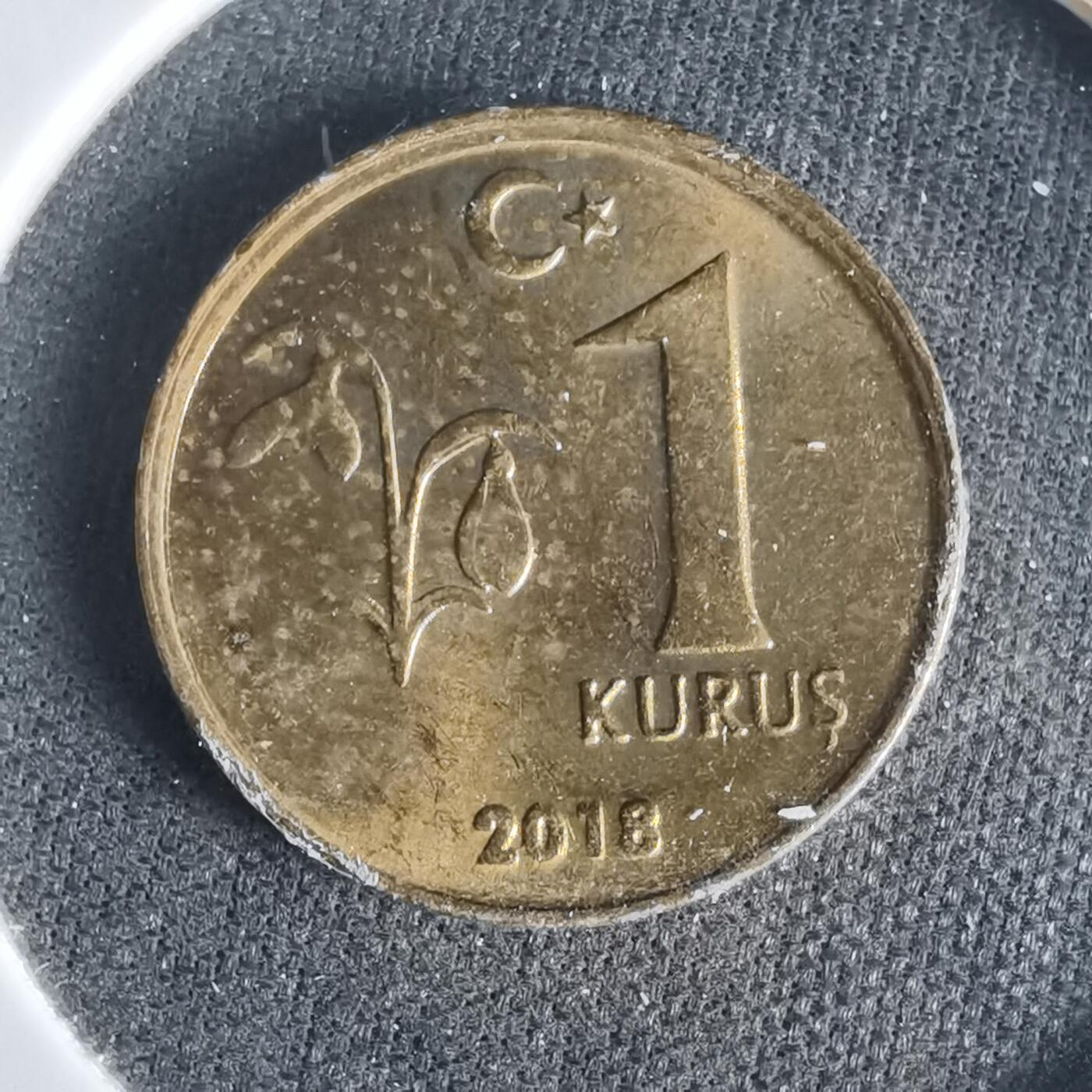 沼泽如烟--第1047场 土耳其2018年1库鲁