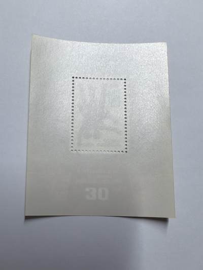 杂票 苏联邮票 1984年 大规模垦荒30周年 垦荒的青年工人 小型张 