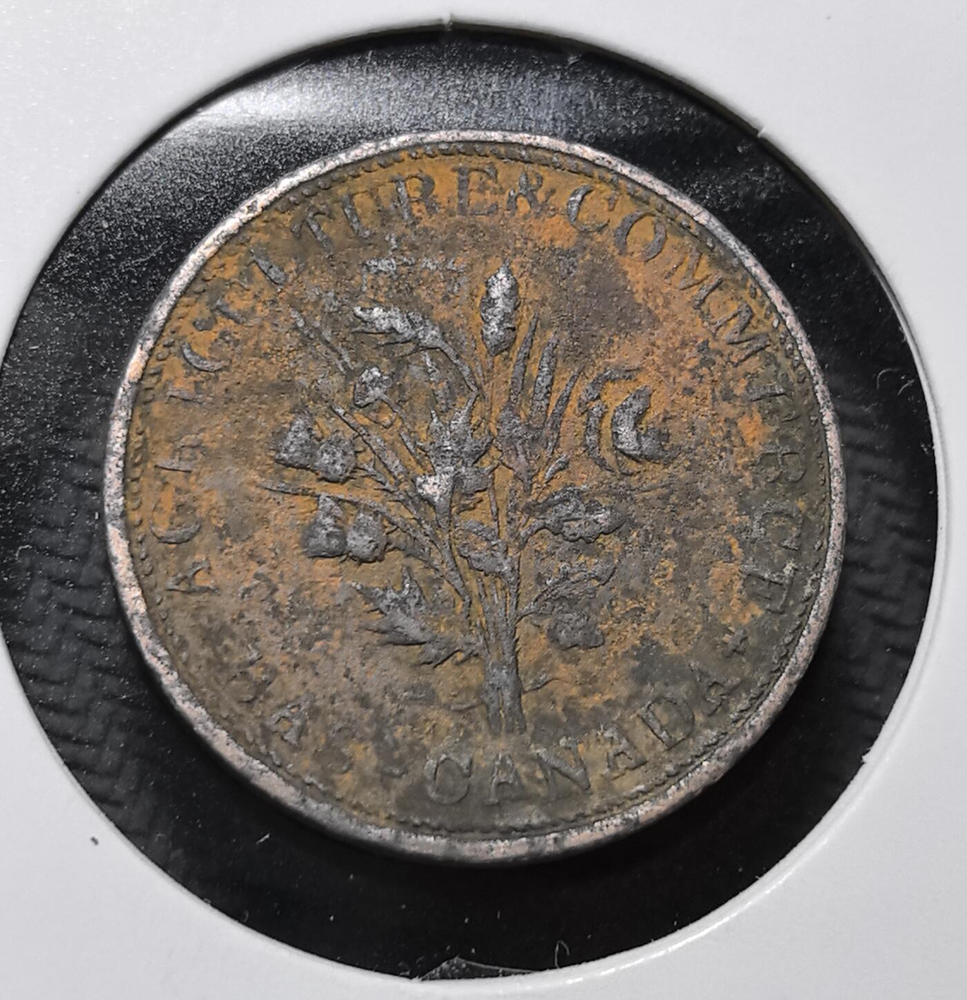 外国优质老铜币纪念币银币专场，周六晚上九点倒数截拍，满百包邮，周日发货,可寄存半年，喜欢朋友微信扫描二维码可直接参拍 加拿大1836年半便士，为 19 世纪魁北克地区流通的铜质代用币，以植物纹彰显农业生产主题，见证加拿大殖民地时期民间自发的经济交往与货币替代需求。