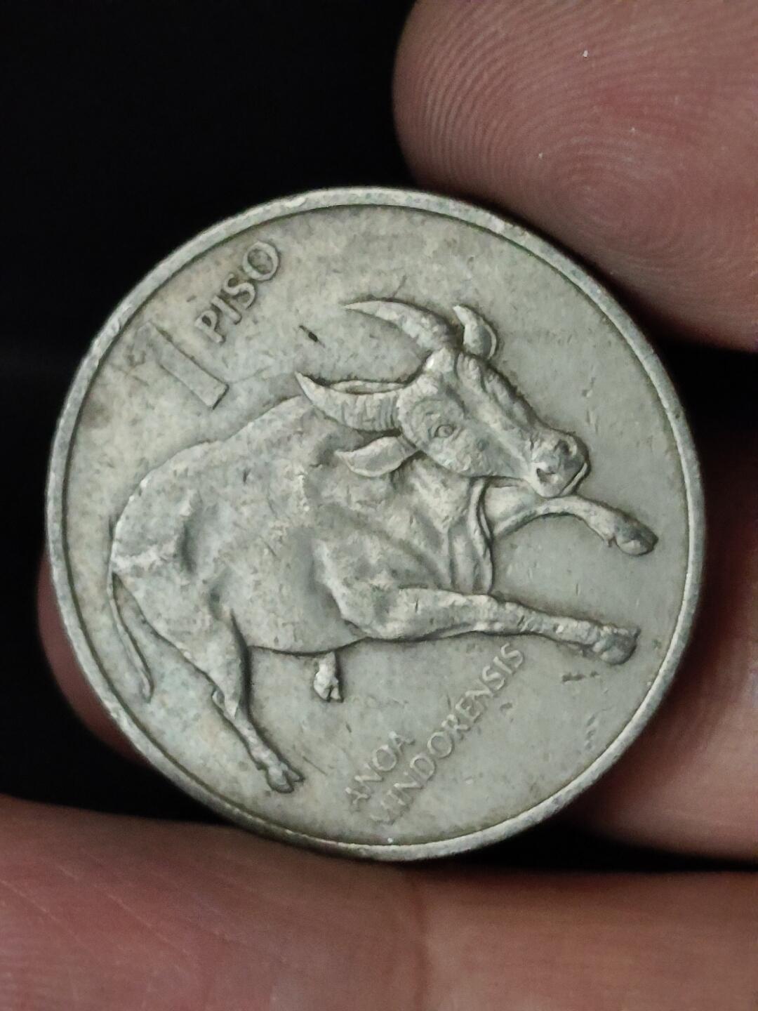 猩哥外币小铺➨【第228场】 菲律宾