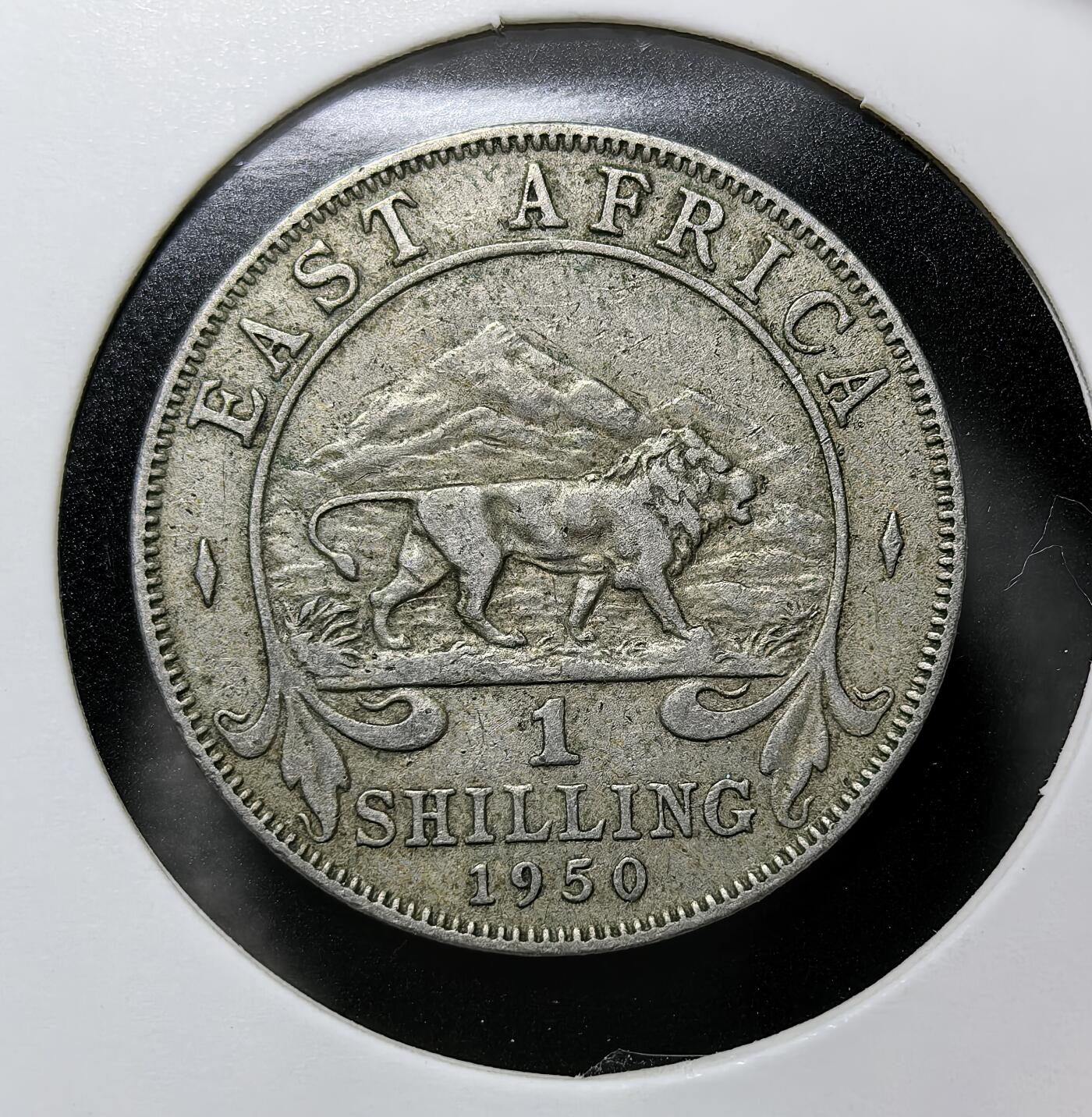 外国优质老铜币纪念币银币专场，周六晚上九点倒数截拍，满百包邮，周日发货,可寄存半年，喜欢朋友微信扫描二维码可直接参拍 英属1950年东非 1 先令，发行于乔治六世时期，正面为国王侧像，背面以象征东非的雄狮与乞力马扎罗山为设计，是英属东非货币体系的核心流通币，承载英国殖民东非、战后非洲殖民格局与货币史。