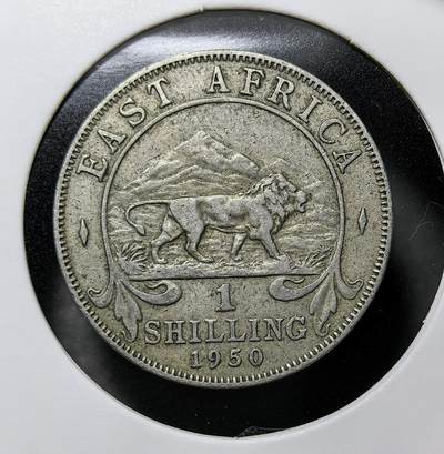 外国优质老铜币纪念币银币专场，周六晚上九点倒数截拍，满百包邮，周日发货,可寄存半年，喜欢朋友微信扫描二维码可直接参拍 - 英属1950年东非 1 先令，发行于乔治六世时期，正面为国王侧像，背面以象征东非的雄狮与乞力马扎罗山为设计，是英属东非货币体系的核心流通币，承载英国殖民东非、战后非洲殖民格局与货币史。