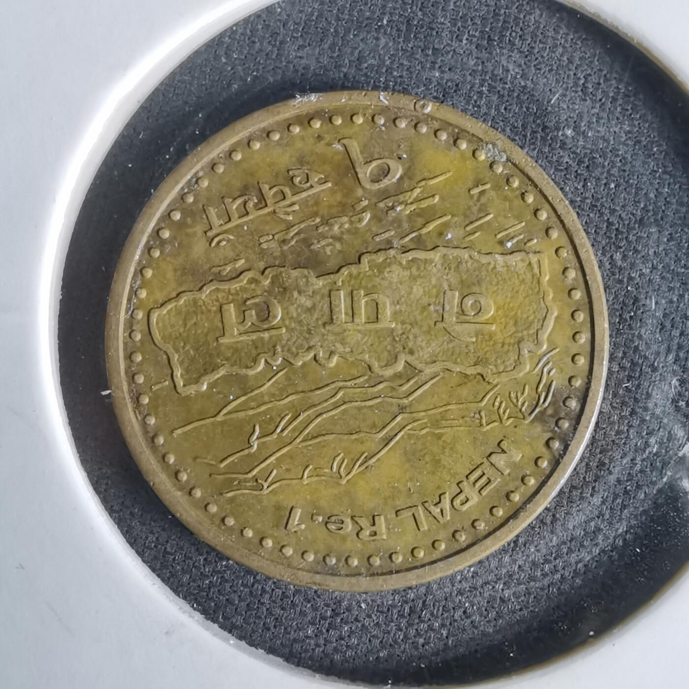 沼泽如烟--第1047场