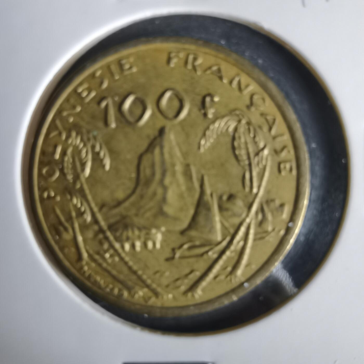 沼泽如烟--第1047场