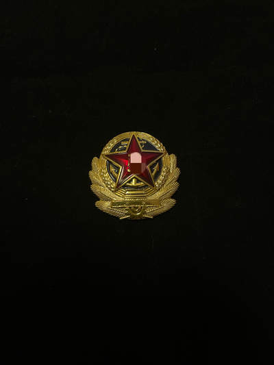 专场 - Su －87帽徽