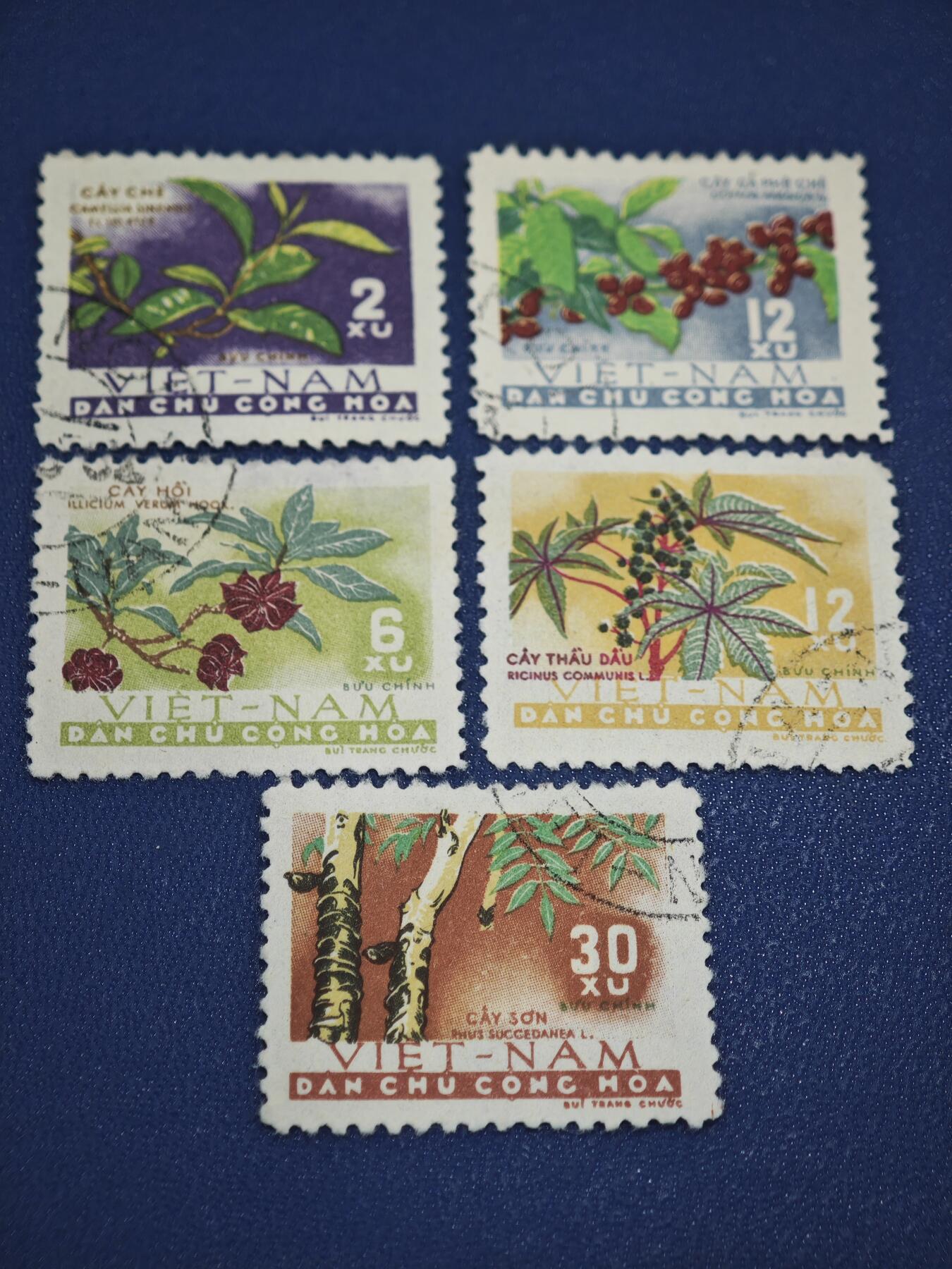 橙子收藏第八期(社会主义国家邮票专场)  越南民主共和国（北越）1960年代 经济作物系列邮票（5枚）  这是一套以越南本土经济作物为主题的邮票，是北越早期展现农业资源的代表性邮票之一。