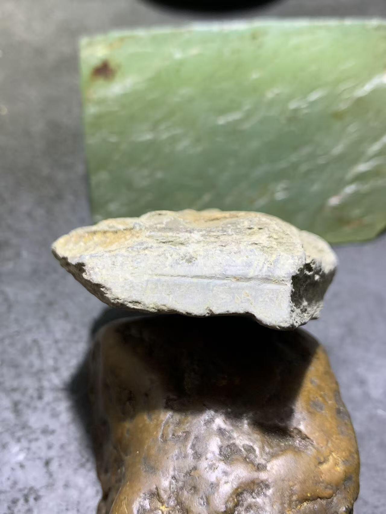 精美天然湘西三叶虫尾巴化石王冠虫张氏虫古生物化石标本原石一颗，