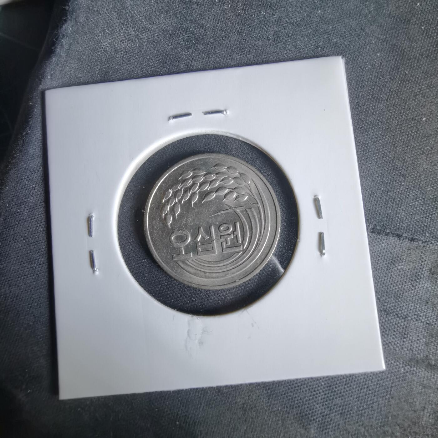 沼泽如烟--第1047场