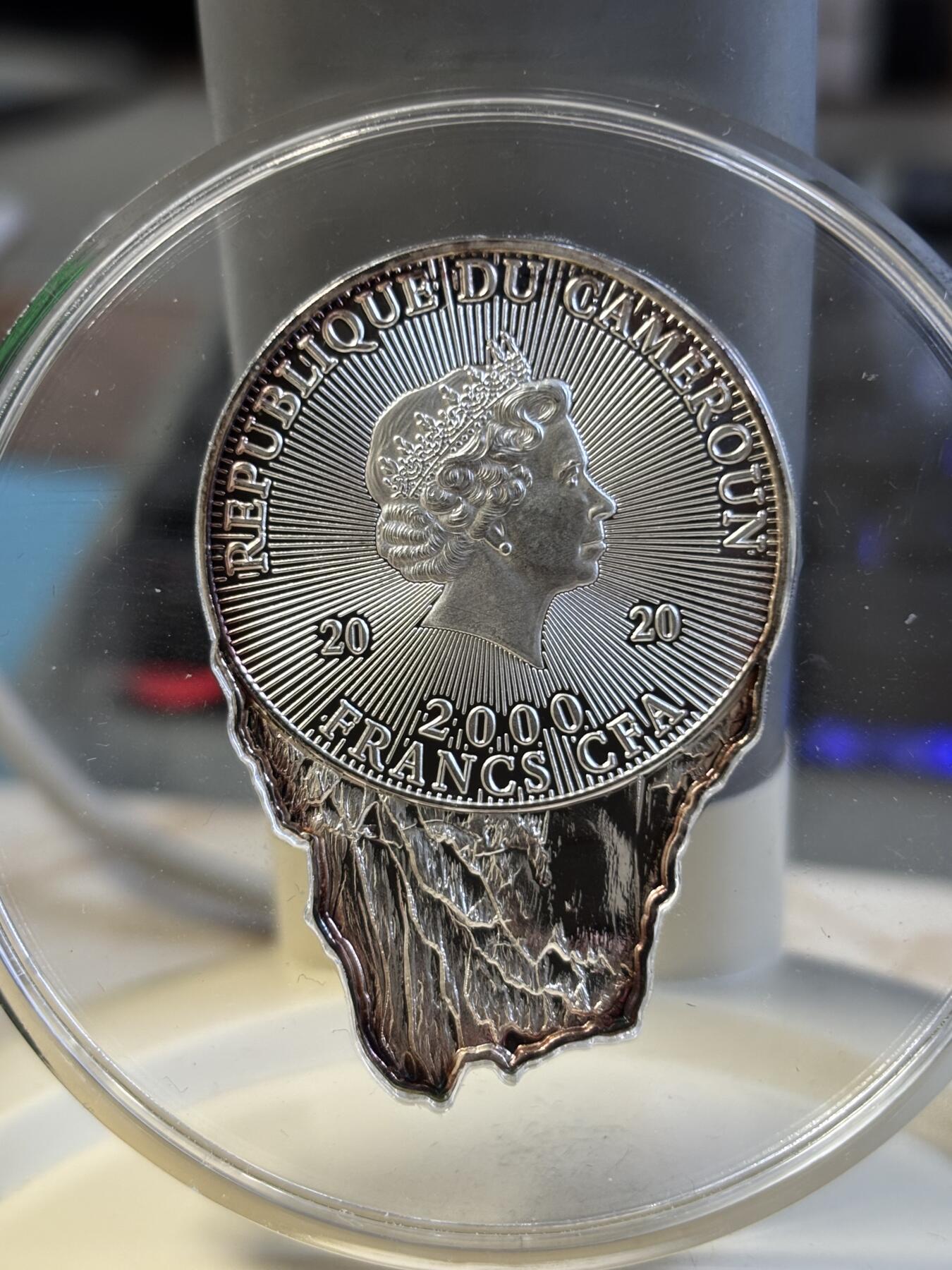 第197期拍卖 喀麦隆2020年世界地球日50周年异形彩色纪念银币，999银，发行2000枚，有氧化