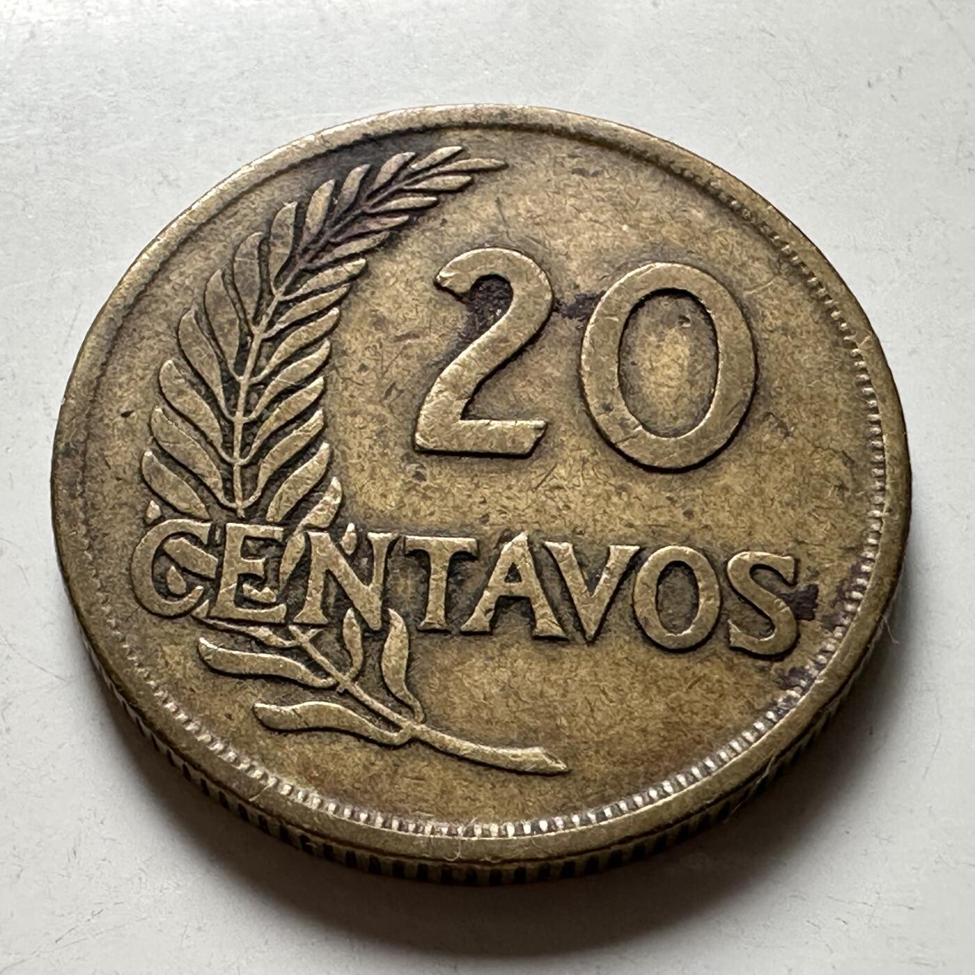 🌹外币初藏🌹🐯2026年第40场   每周二四六晚8️⃣点 世界钱币