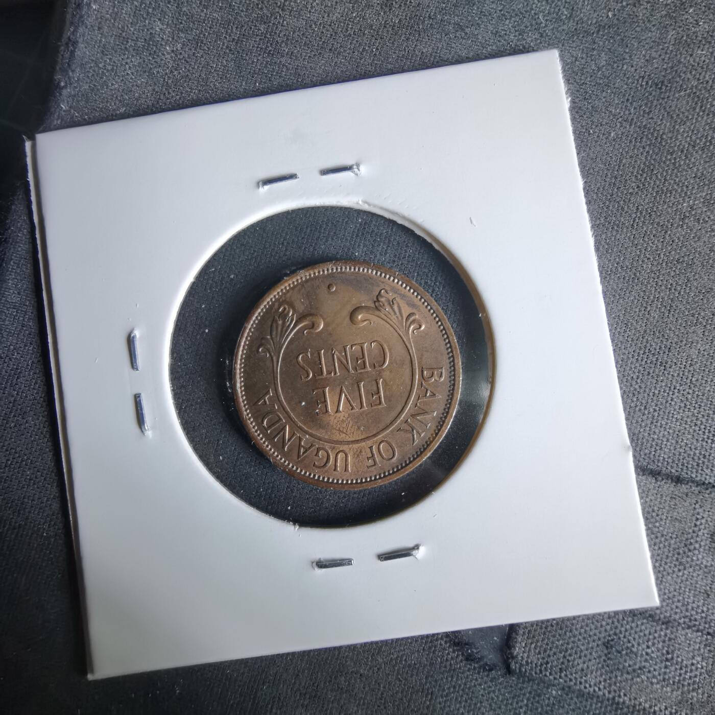 沼泽如烟--第1047场