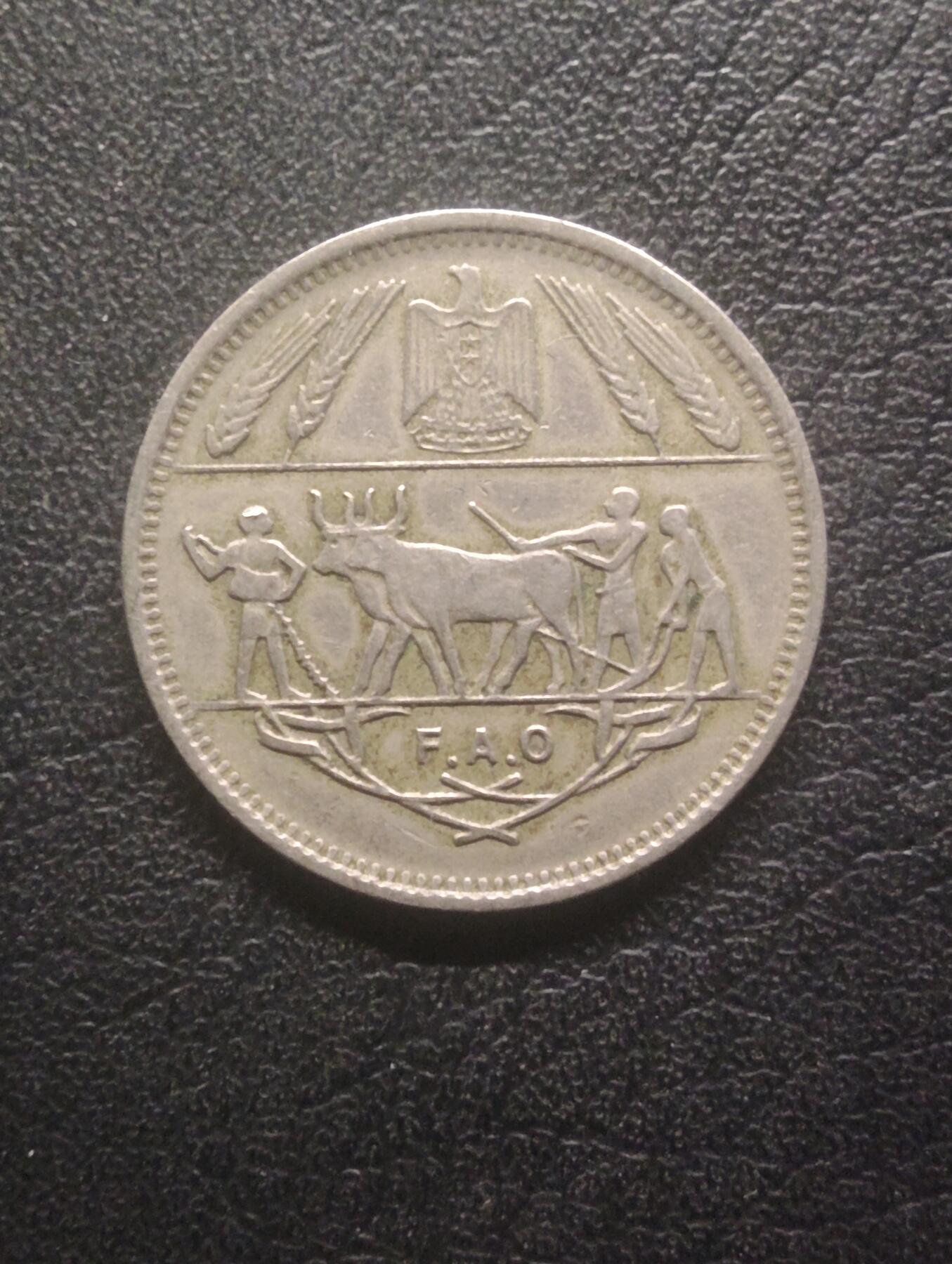 荟藏特别场次第十五期——“社长的硬币堆” 埃及1988年联合国粮农组织10皮阿斯特纪念币·