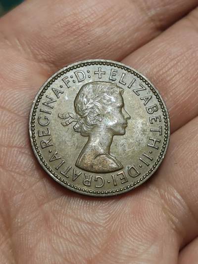 2026年第四十三场(总第二百一十二场）外国好品散币场(免佣金) - 英国🇬🇧1959年半便士(伊丽莎白二世青年桂冠第二版)