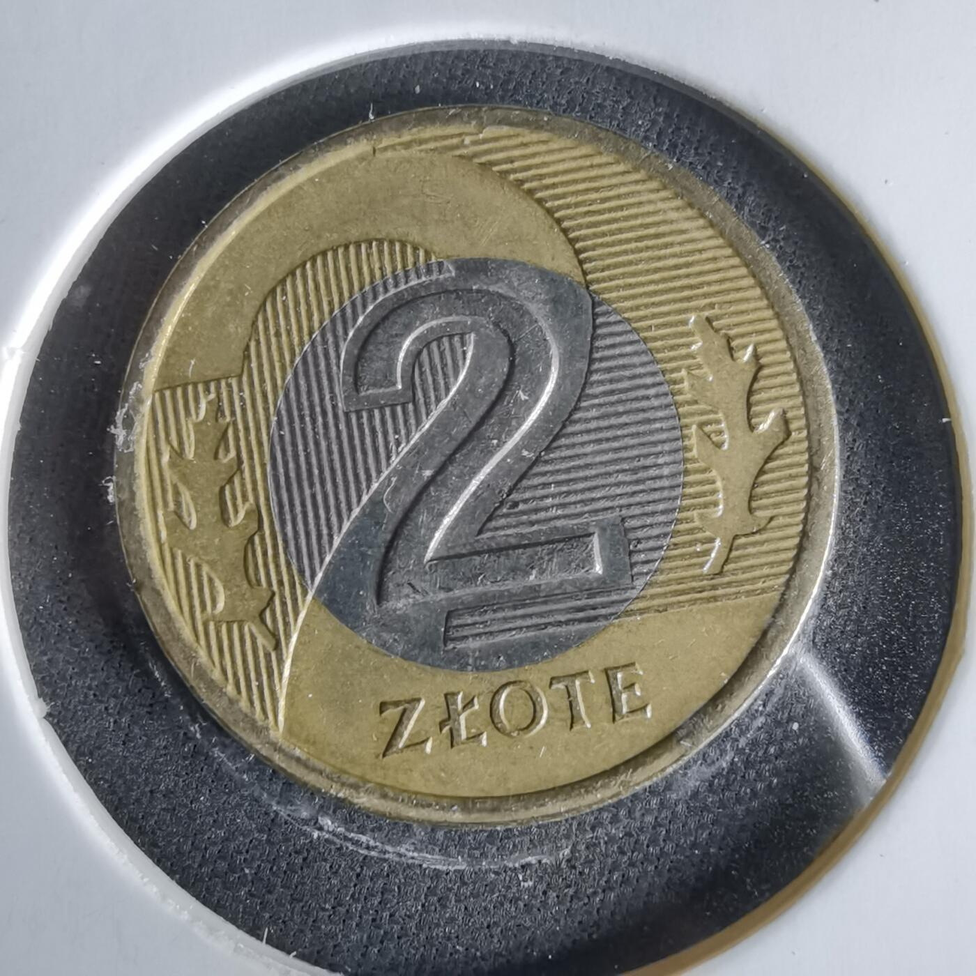 沼泽如烟--第1047场