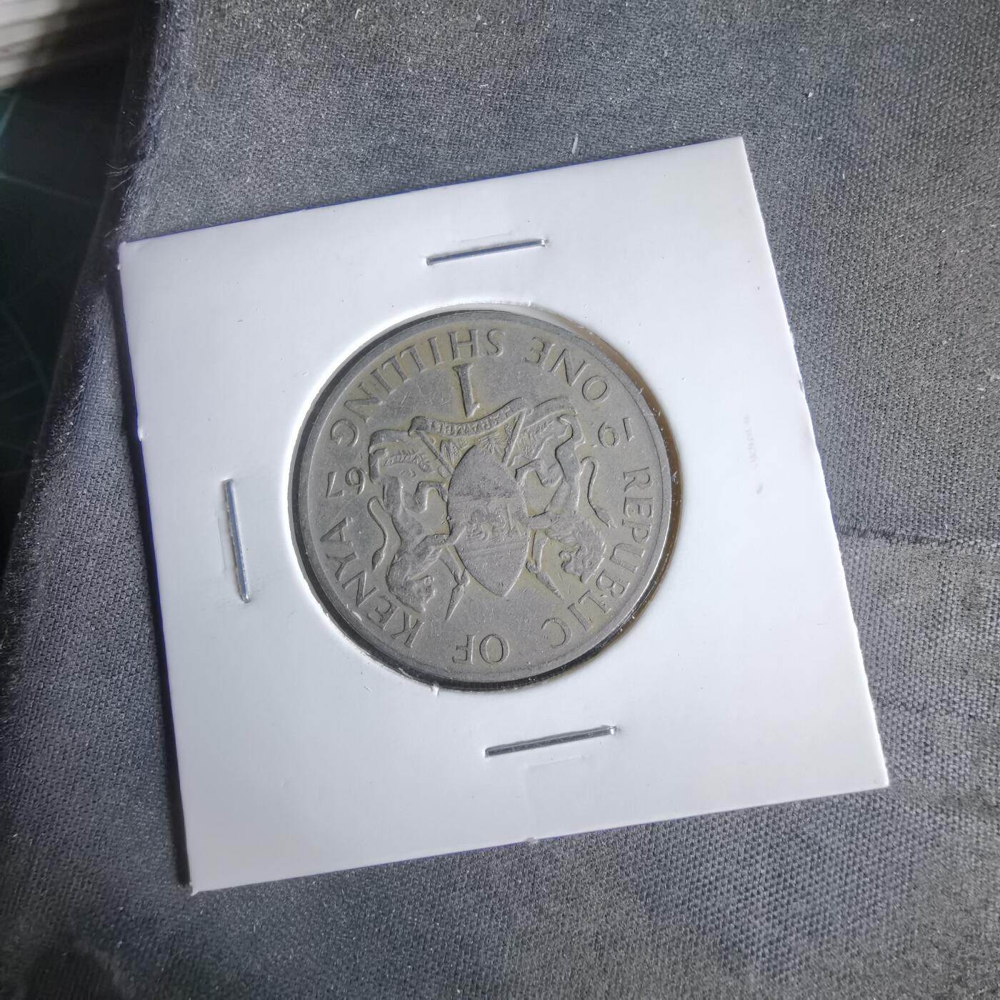 沼泽如烟--第1047场