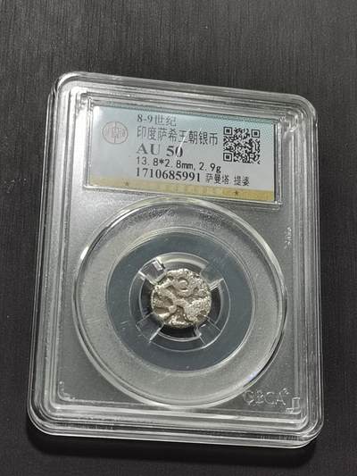 天下钱庄专场欢迎参拍 - 萨希王朝银币