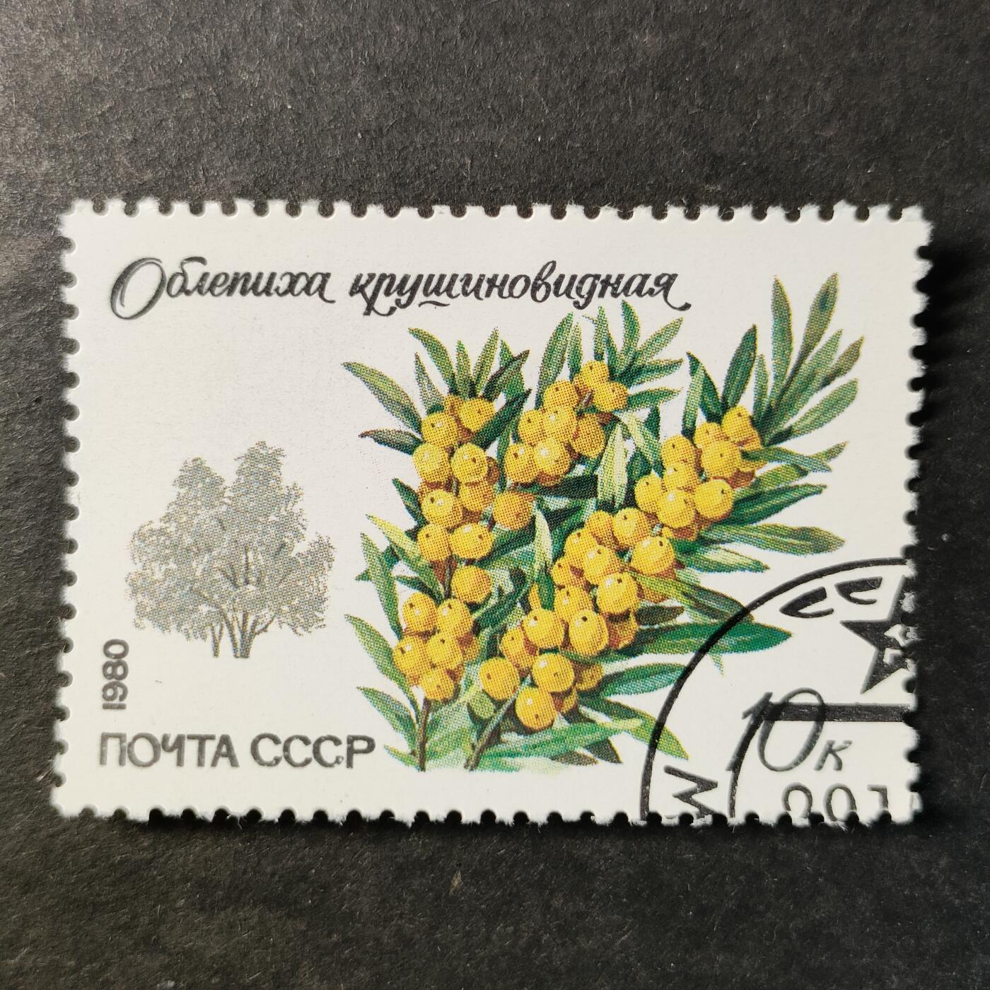 嘉禾收藏    【第513期】            无佣金、可寄存、满30元包邮 苏联邮票