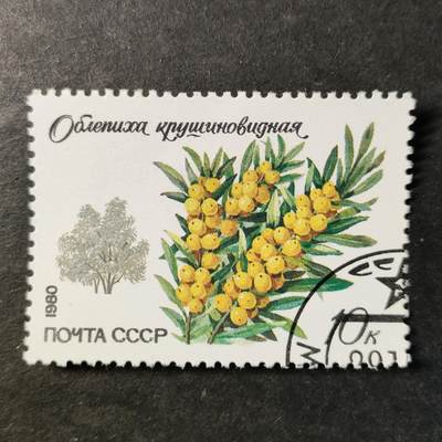 嘉禾收藏    【第513期】            无佣金、可寄存、满30元包邮 - 苏联邮票