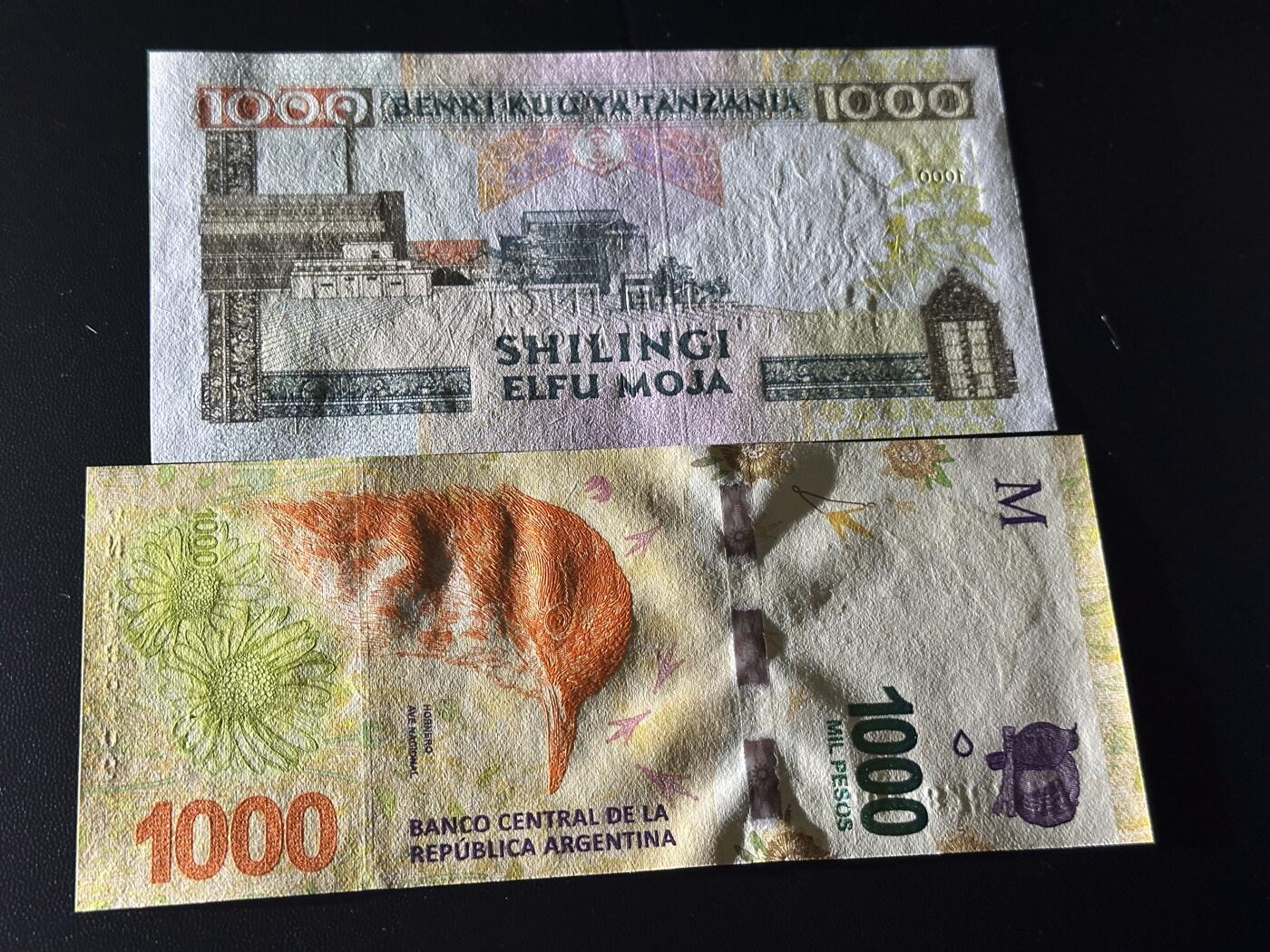 《外钞收藏家》第六百二十六期（精品场）（长期征集拍品、欢迎藏友们联系合作） 坦桑尼亚1000先令+阿根廷1000 2张一起 全新UNC