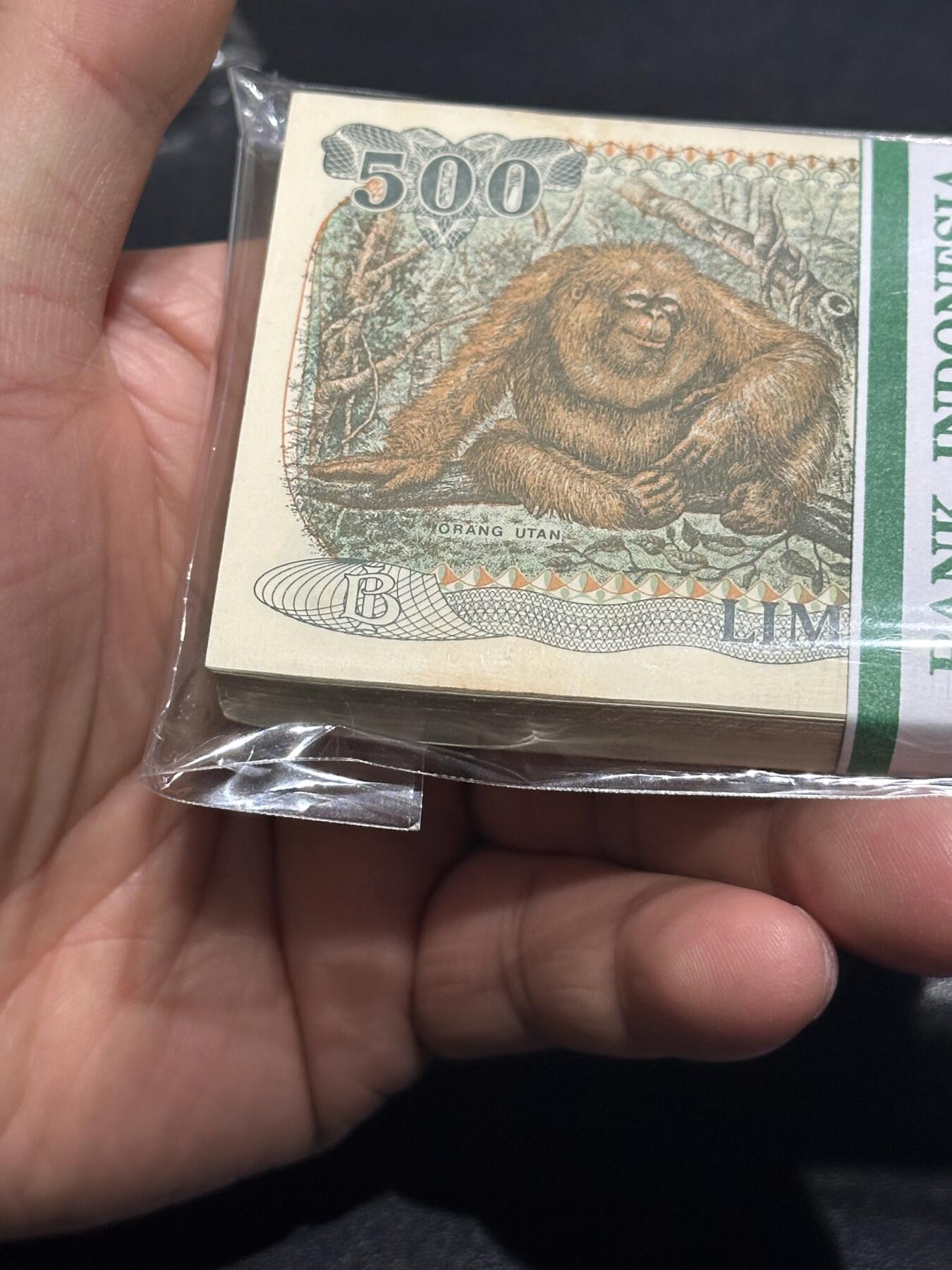 《外钞收藏家》第六百二十六期（精品场）（长期征集拍品、欢迎藏友们联系合作） 印度尼西亚1992年500卢比一刀百连（珍惜动物红毛猩猩，含豹子号） 前后一些有黄斑 中间还好