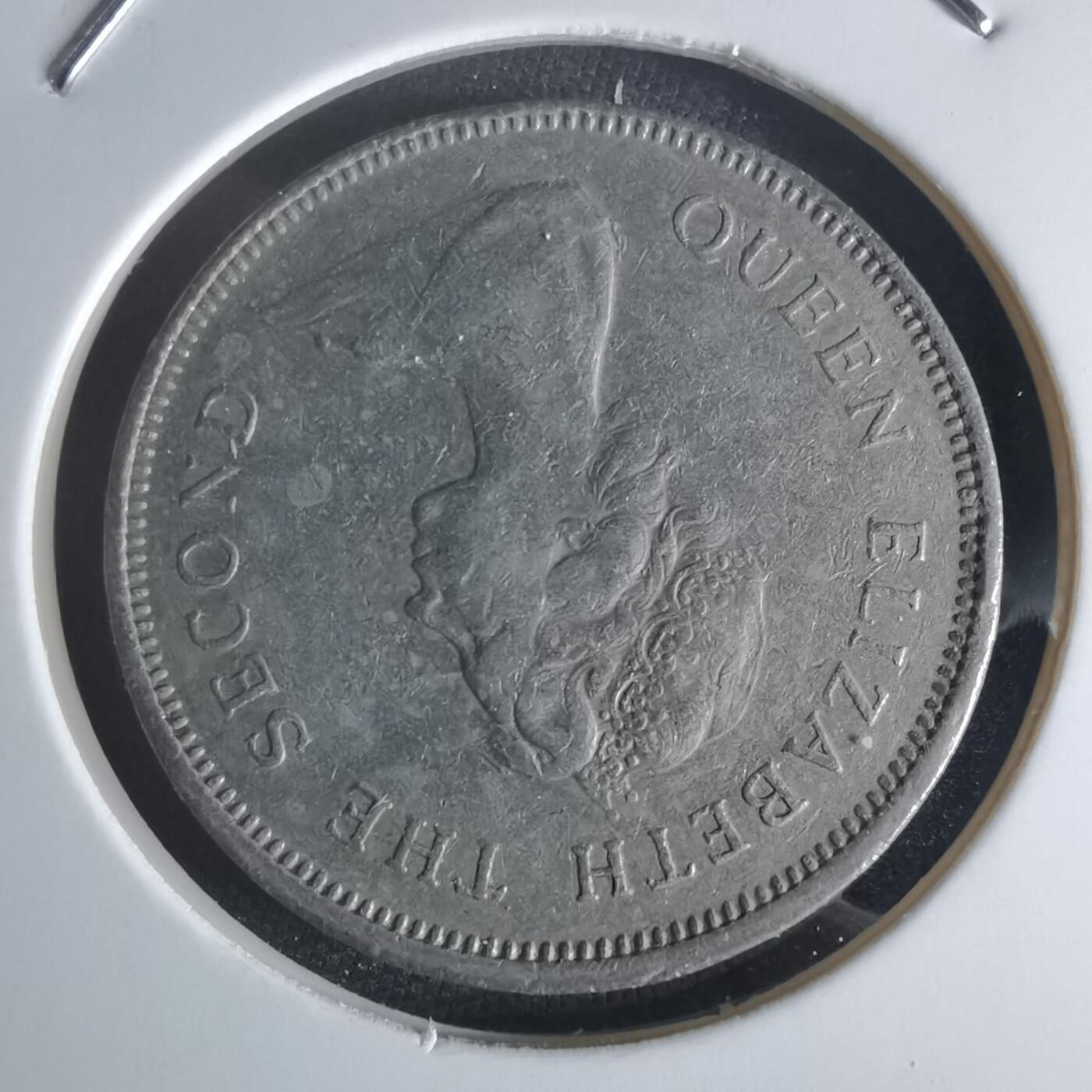 沼泽如烟--第1048场