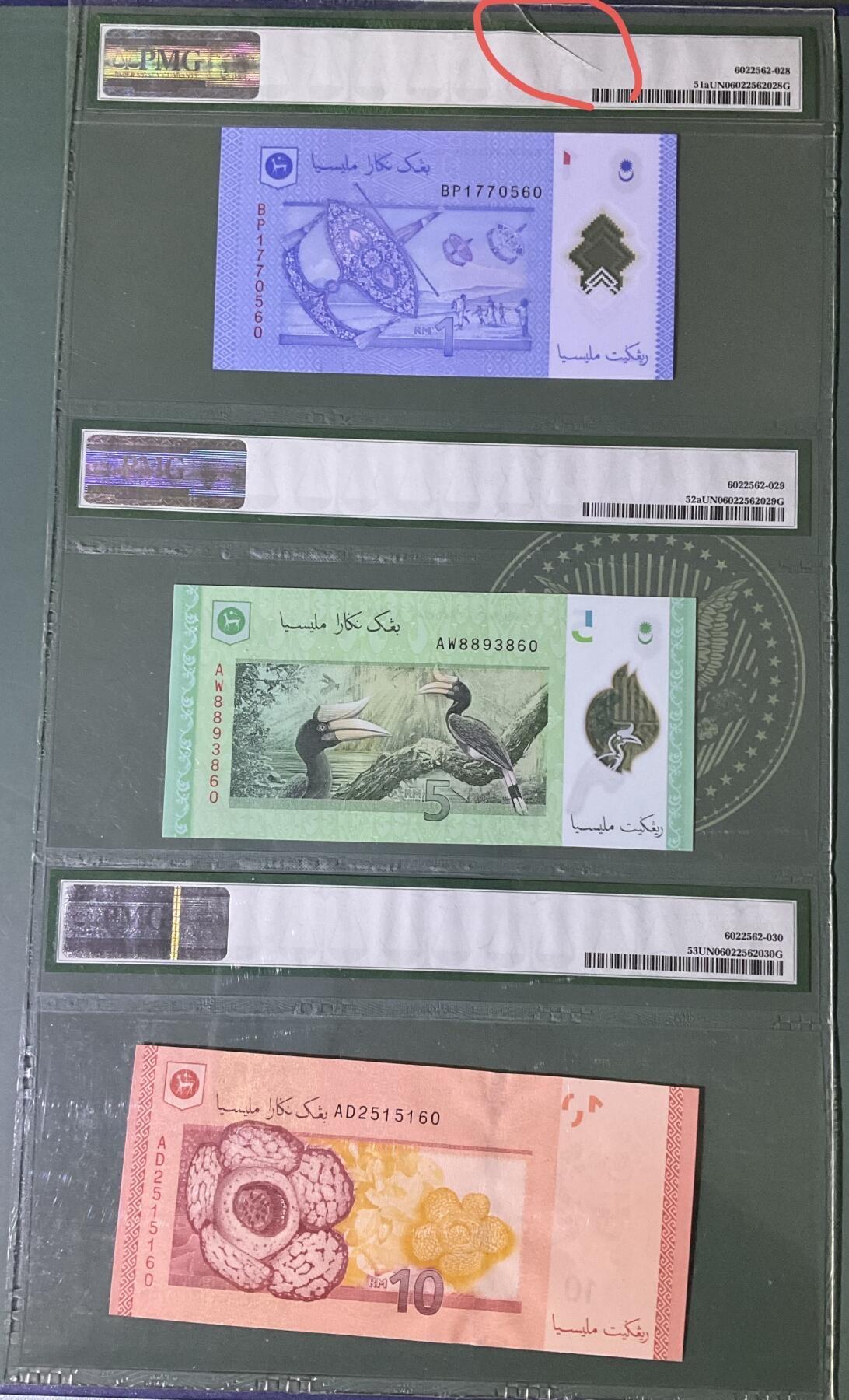 【礼羽收藏】🌏世界钱币拍卖第132期