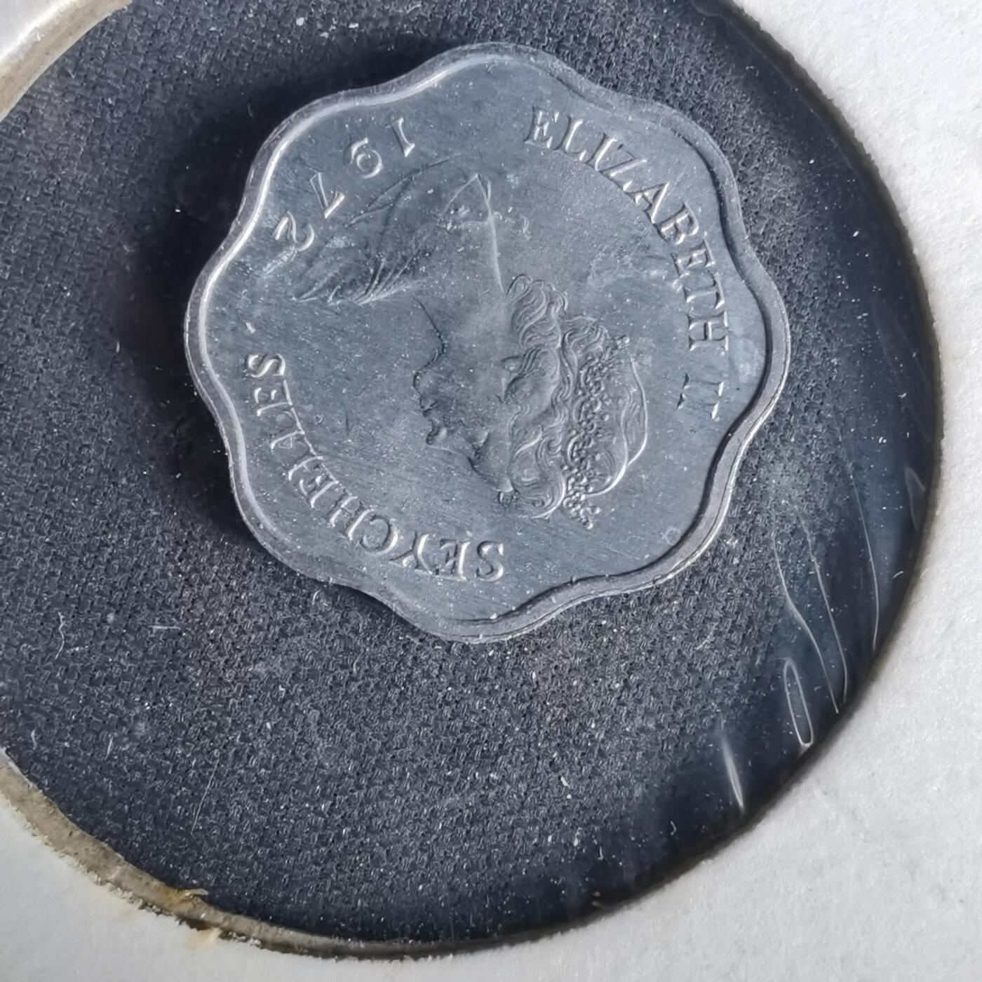 沼泽如烟--第1049场