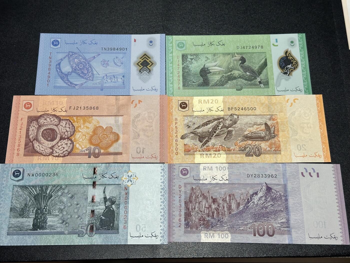 《外钞收藏家》第六百二十六期（精品场）（长期征集拍品、欢迎藏友们联系合作） 马来西亚新版6张一套（1/5/10/20/50/100林吉特，有多张全程无47）	UNC