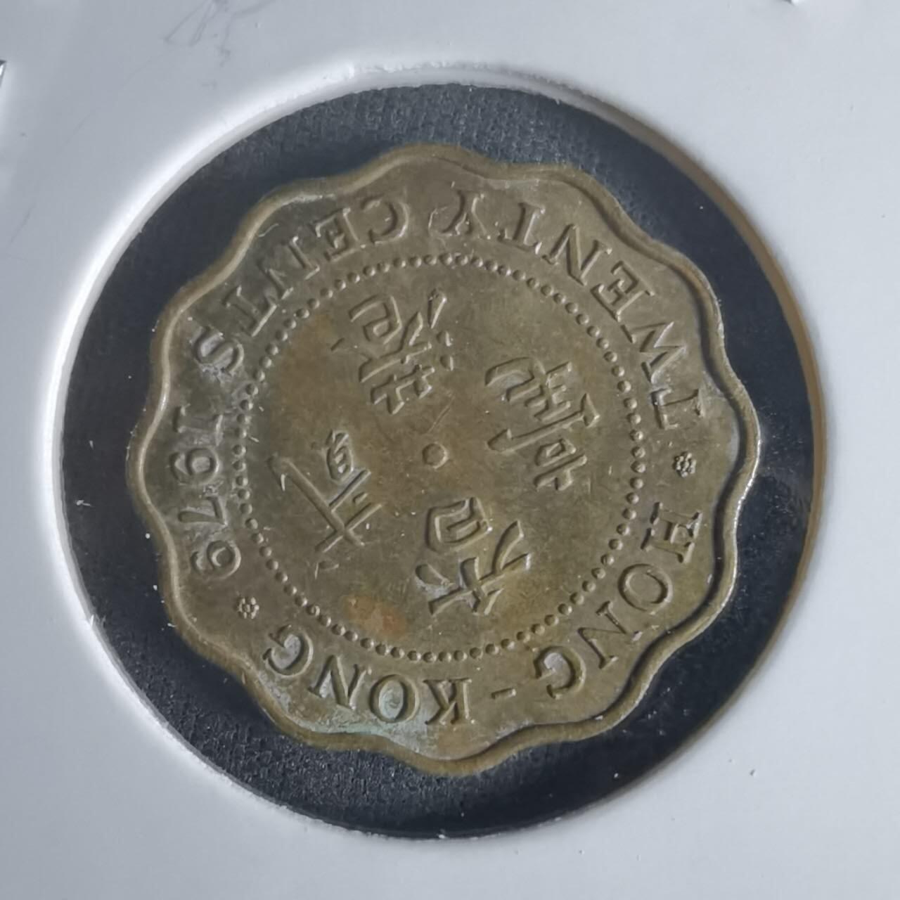 沼泽如烟--第1048场