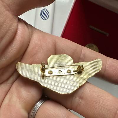 🌹外币初藏🌹🐯2026年第41场   每周二四六晚8️⃣点 世界钱币 中国人民解放军特种部队胸标（原品）