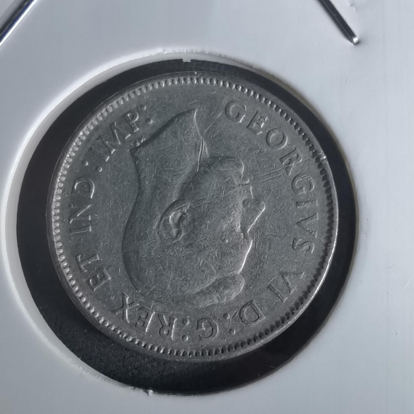 沼泽如烟--第1048场