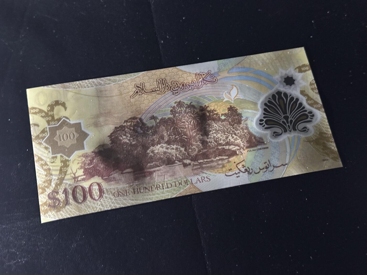 《外钞收藏家》第六百二十六期（精品场）（长期征集拍品、欢迎藏友们联系合作） 文莱2013年100林吉特塑料钞（全程无4）	UNC