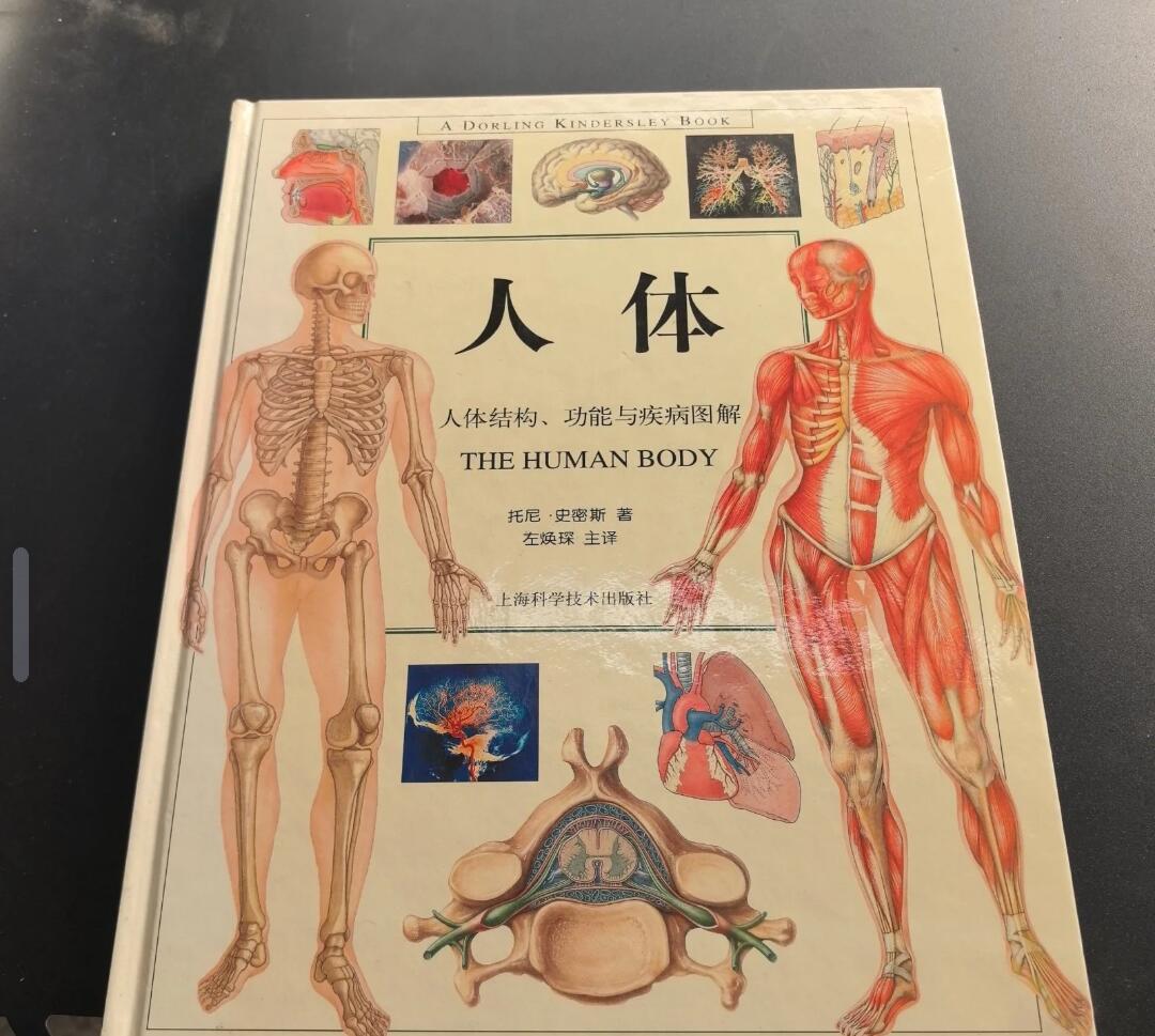 包邮人体：人体结构、功能与疾病图解 签名本 品相好