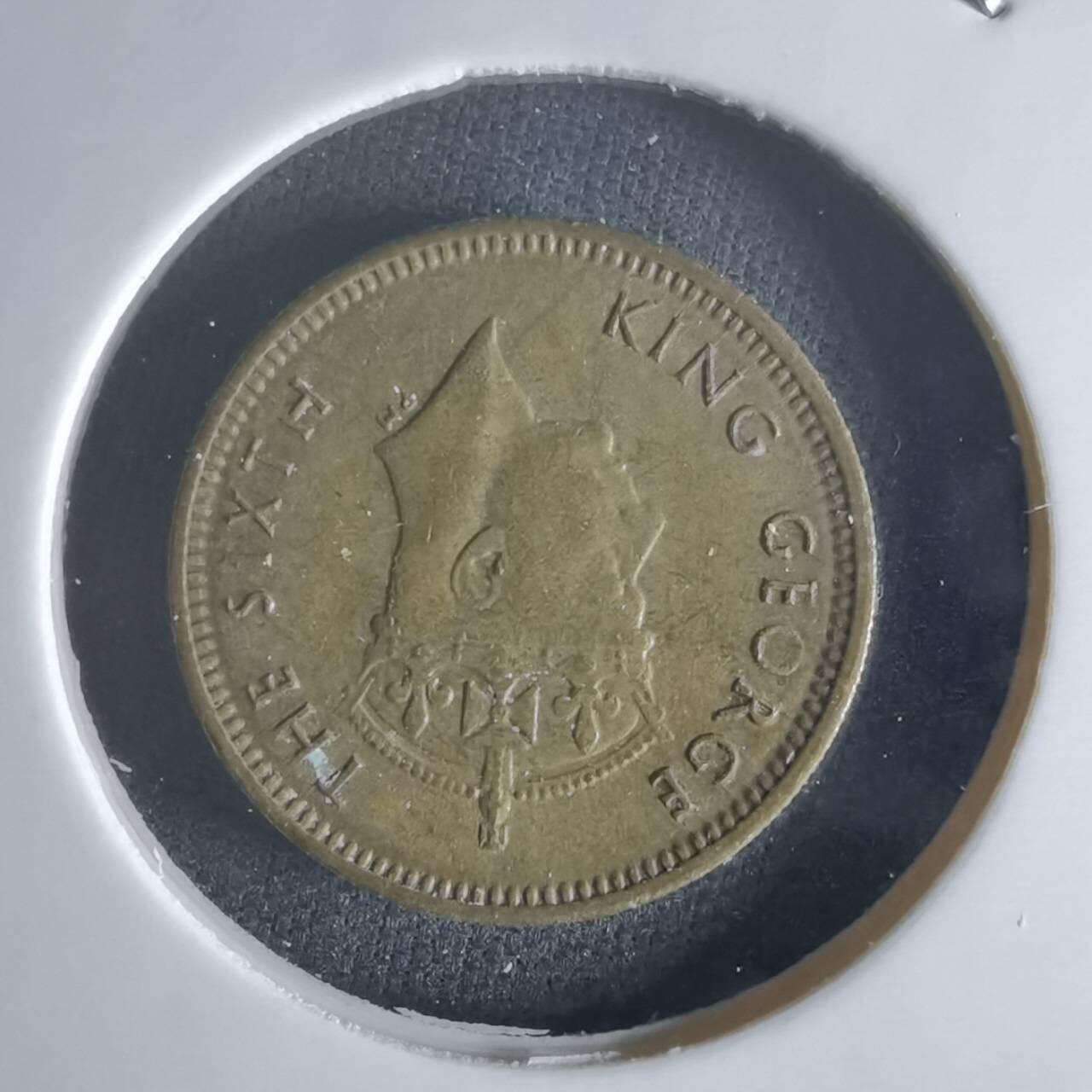 沼泽如烟--第1048场