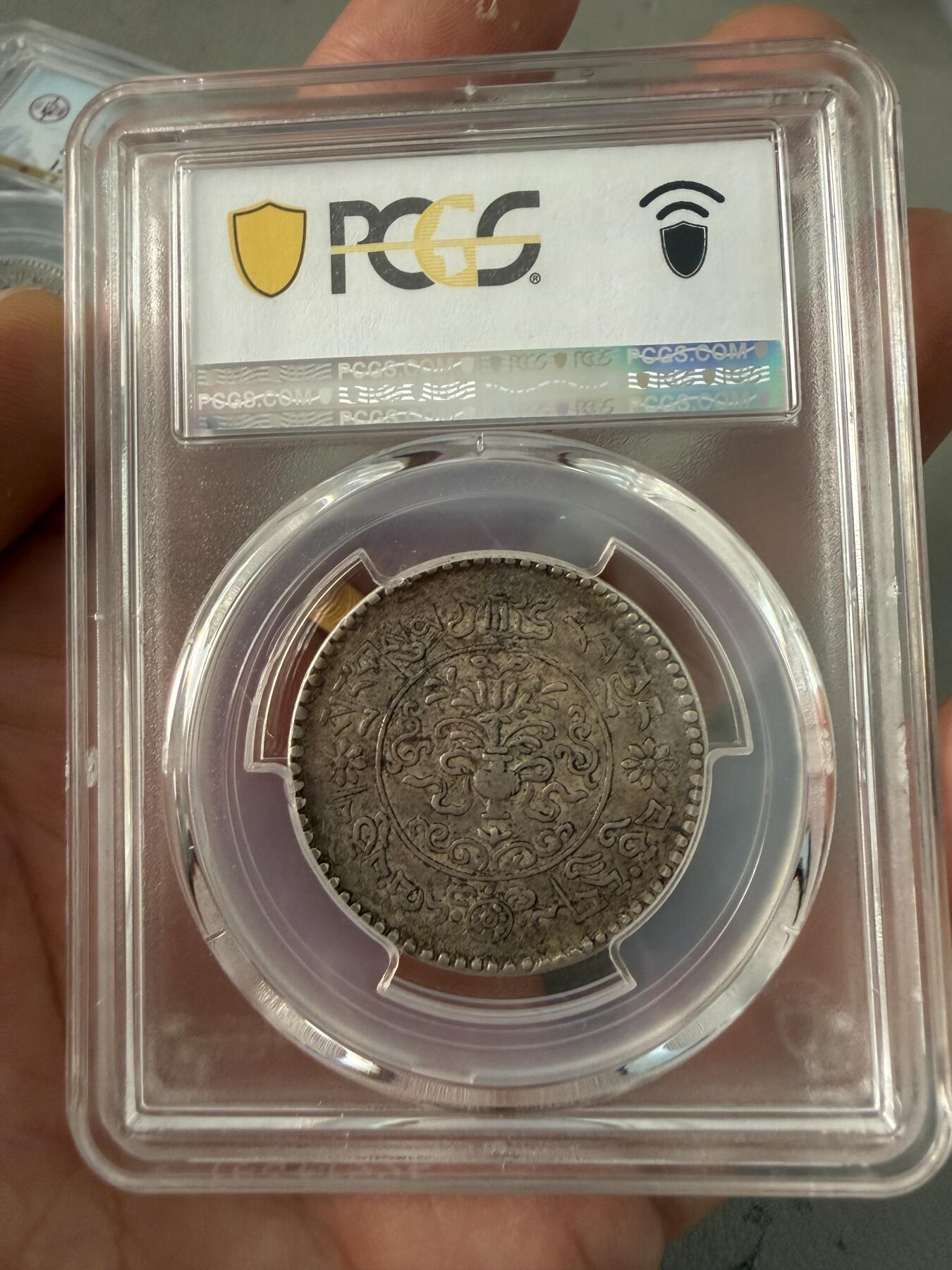 PC50味道大桑松果木