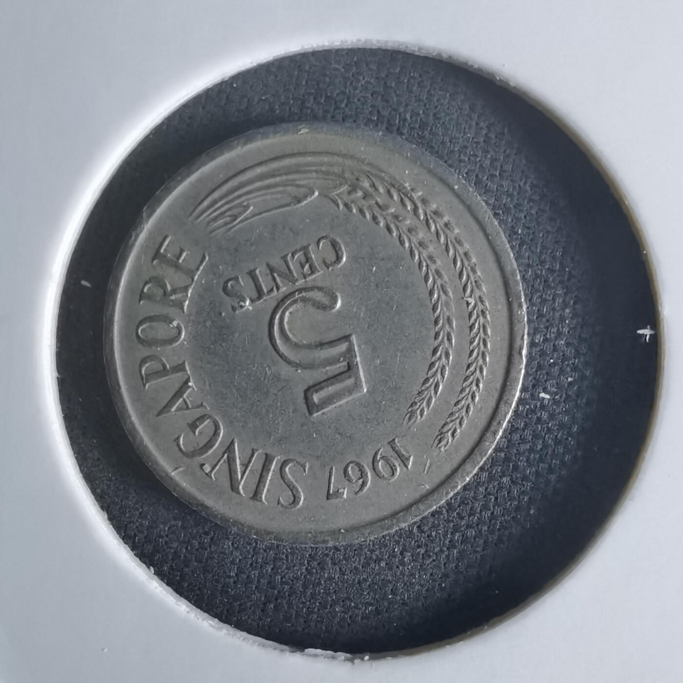 沼泽如烟--第1048场