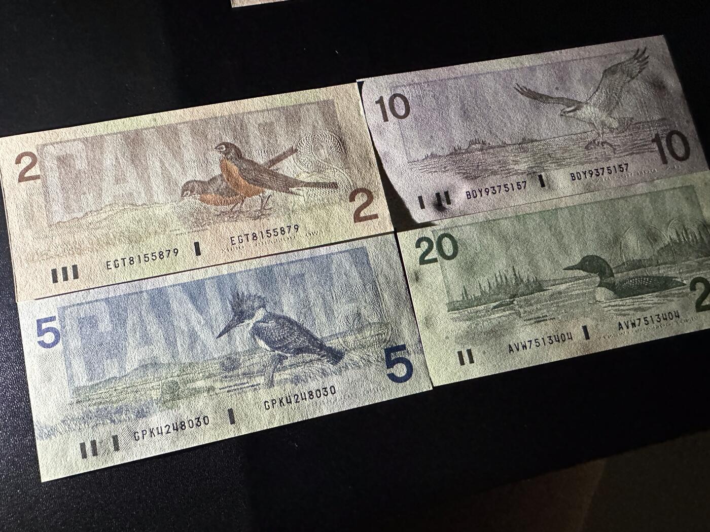 《外钞收藏家》第六百二十六期（精品场）（长期征集拍品、欢迎藏友们联系合作） 加拿大1986-1991年鸟版2/5/10/20元四张一套同一签名（绝品）	绝品