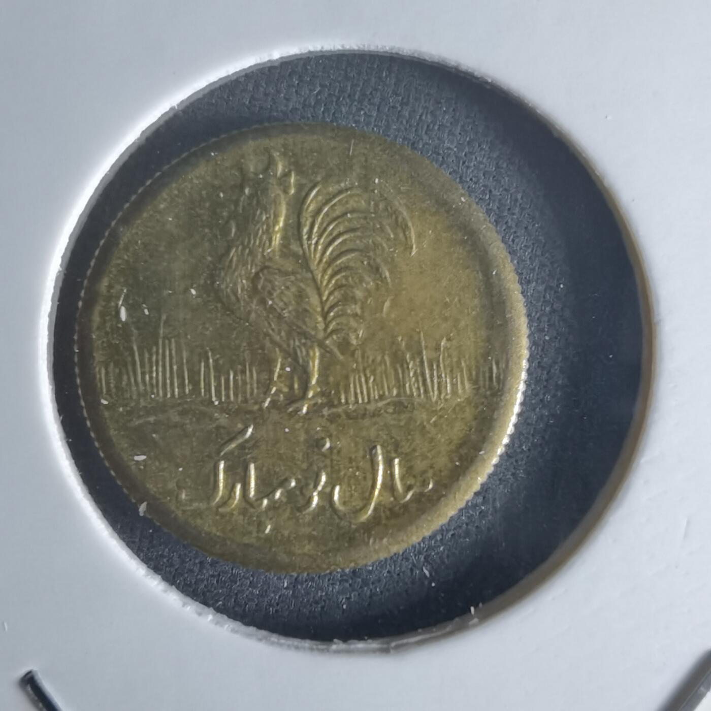 沼泽如烟--第1048场 伊朗代币