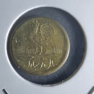 沼泽如烟--第1048场 - 伊朗代币