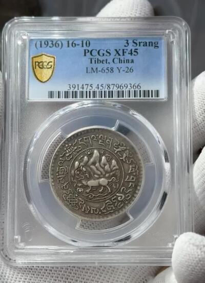 大桑松10年（XF45）